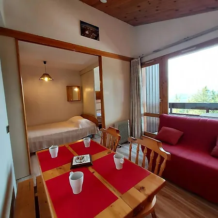 Divisible Pour 4 Personnes, Centre Station, Animaux Admis - Fr-1-353-103 La Plagne