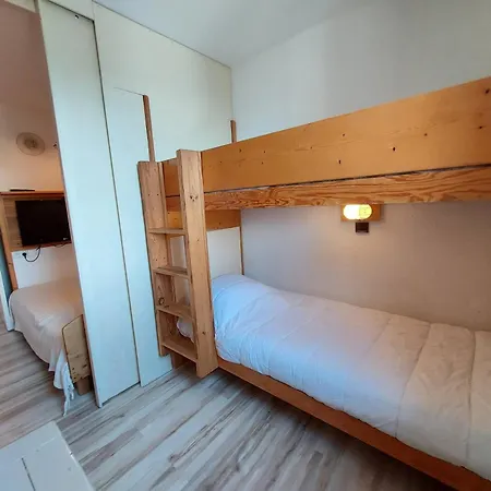 Divisible Pour 4 Personnes, Centre Station, Animaux Admis - Fr-1-353-103 * La Plagne